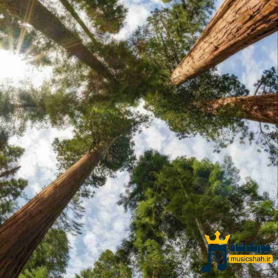 wpheaderlogo547png بسآهنگ