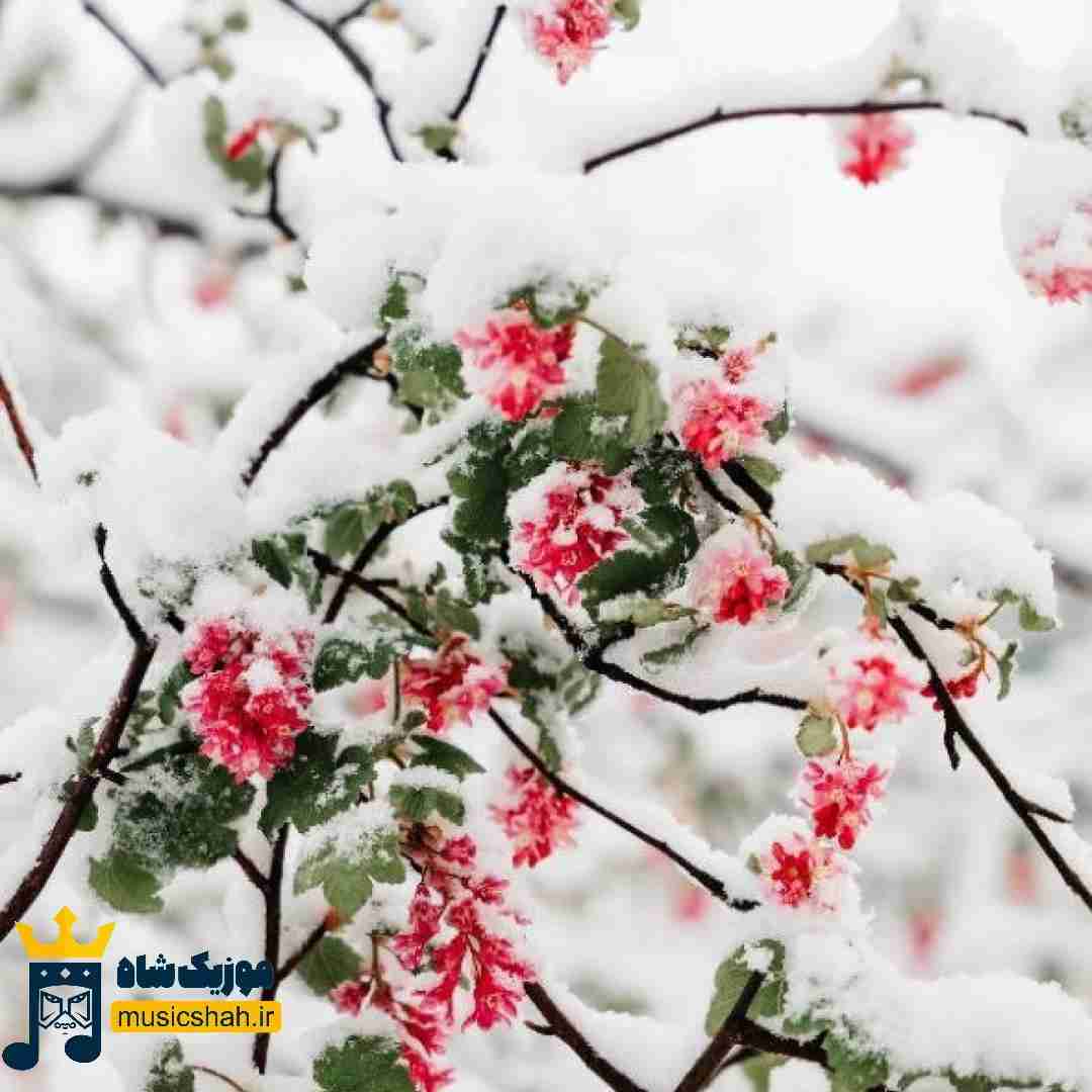 wpheaderlogo571png بسآهنگ